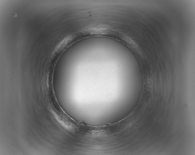 X0000080670686200612151157