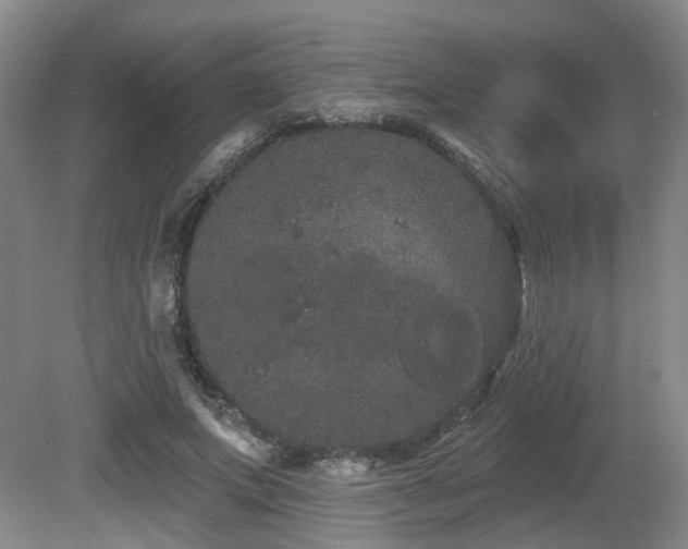 X0000080670687200612151157
