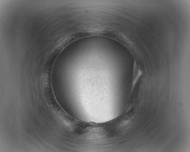 X0000080670689200612151157