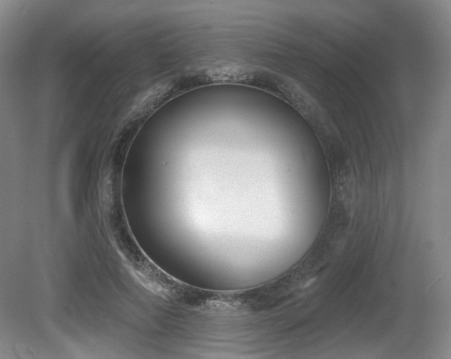 X0000080670690200612151157