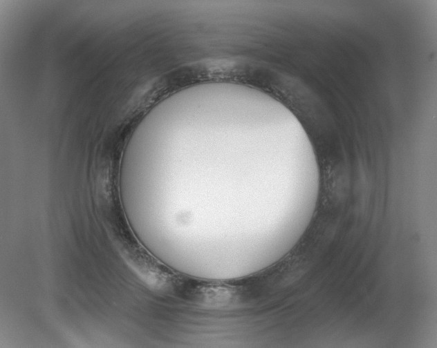 X0000080670698200612151157