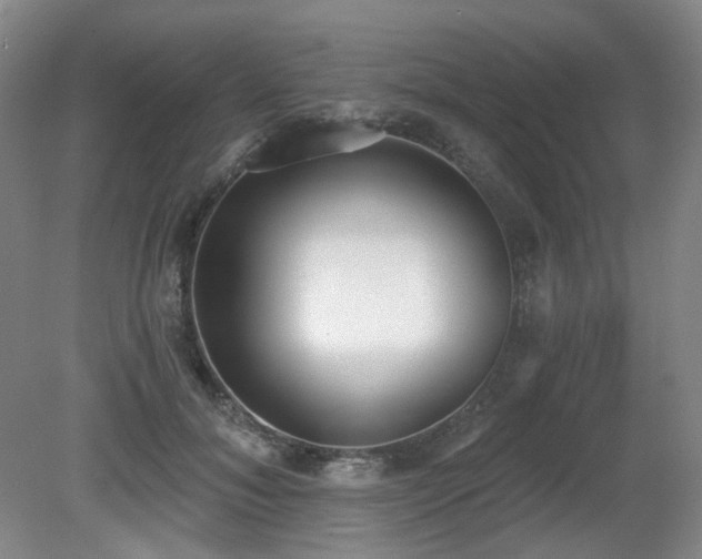 X0000080670700200612151157