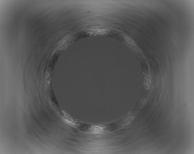 X0000080670701200612151157