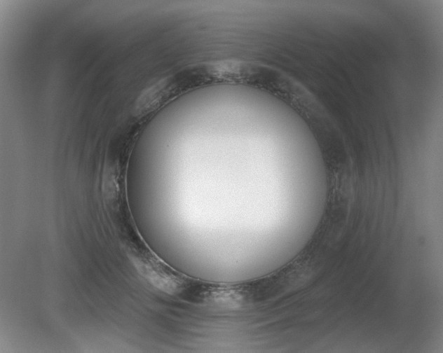 X0000080670702200612151157
