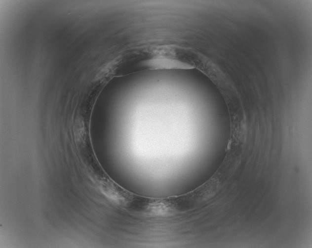X0000080670704200612151157
