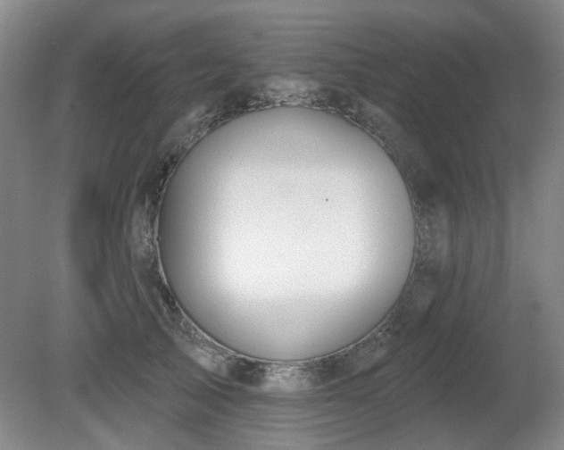 X0000080670705200612151157