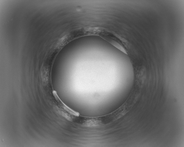 X0000080670708200612151157