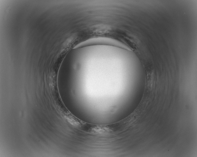 X0000080670712200612151157