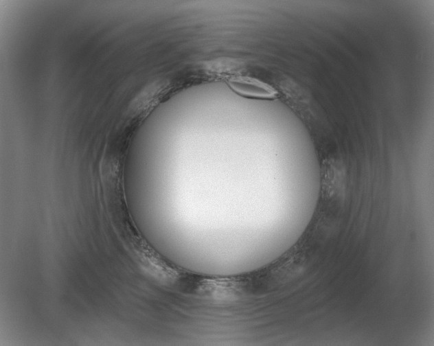 X0000080670713200612151157