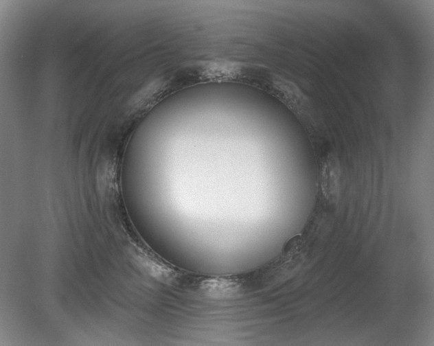 X0000080670714200612151157