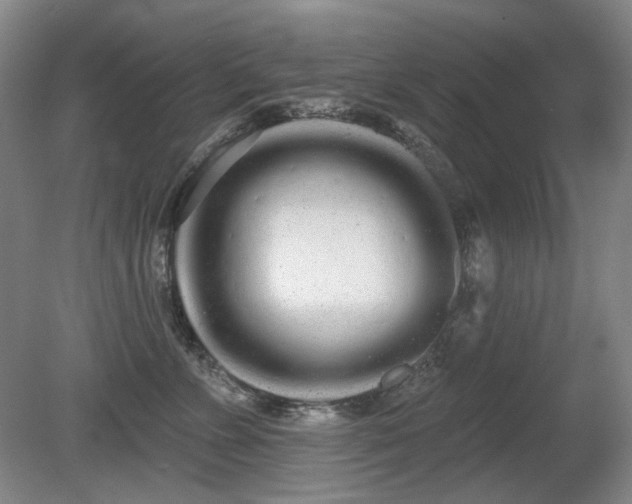 X0000080670715200612151157