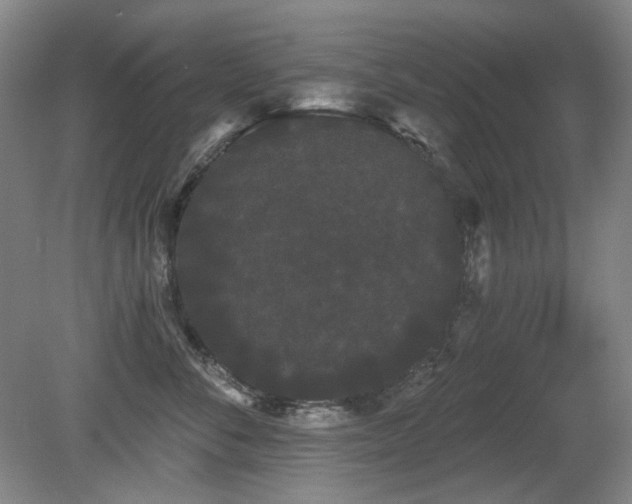X0000080670716200612151157