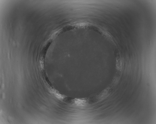 X0000080670718200612151157