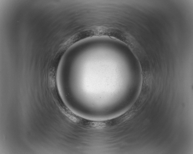 X0000080670719200612151157