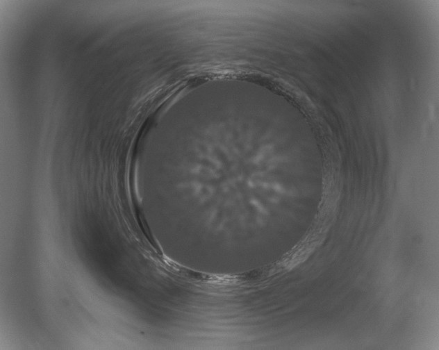 X0000080670720200612151157