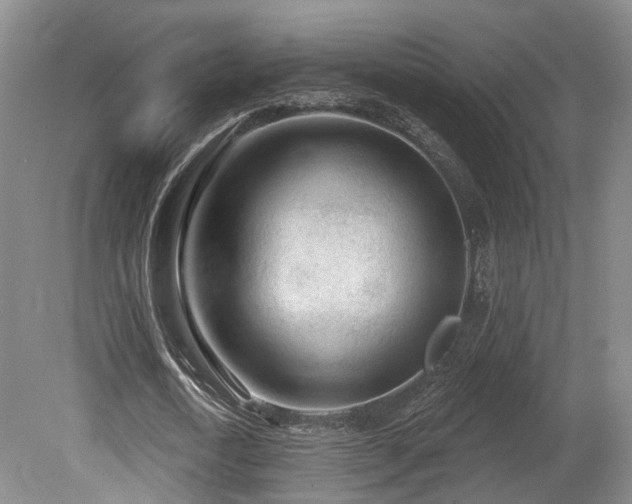 X0000080670722200612151156