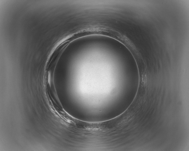 X0000080670724200612151156