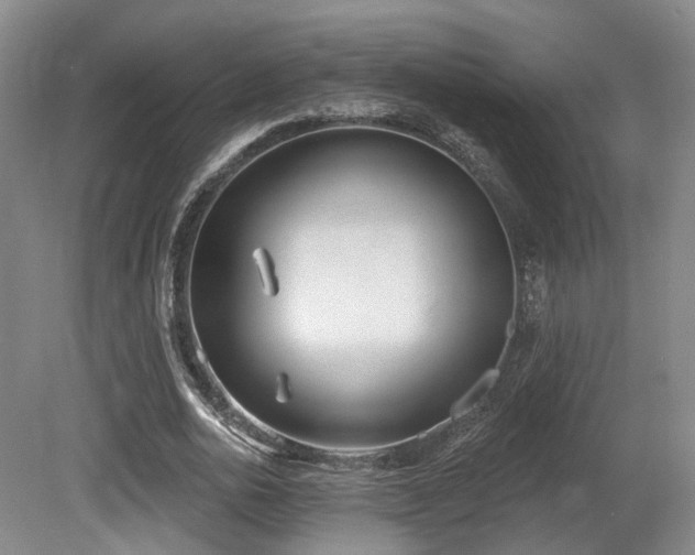 X0000080670726200612151156