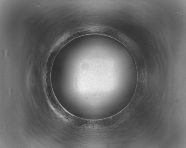 X0000080670730200612151156