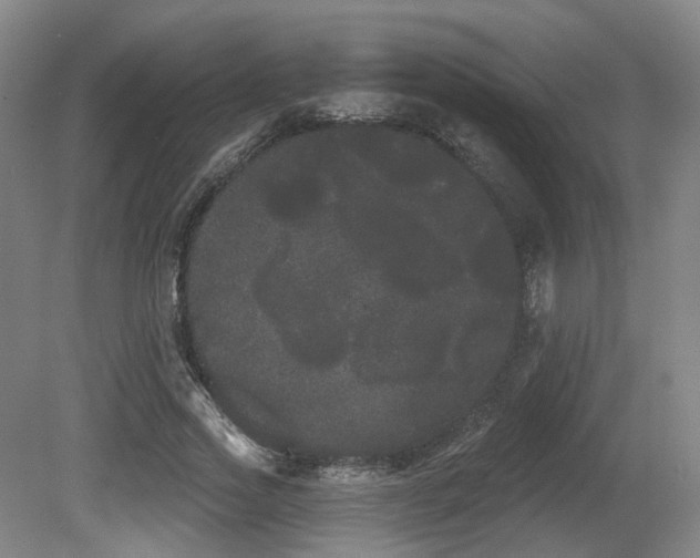 X0000080670733200612151156