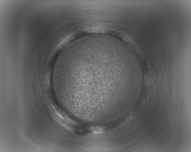 X0000080670735200612151156