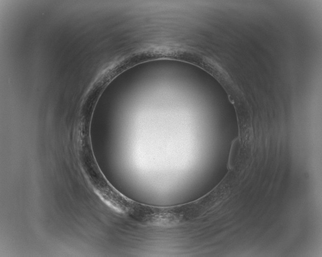 X0000080670736200612151156