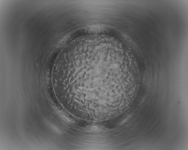 X0000080670737200612151156