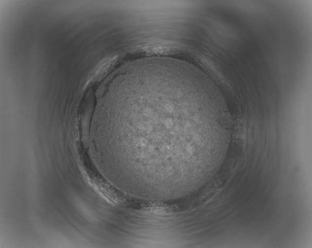 X0000080670738200612151156