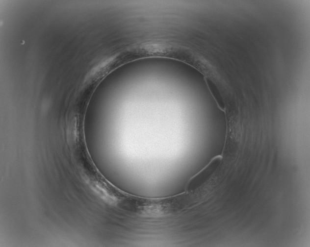 X0000080670740200612151156