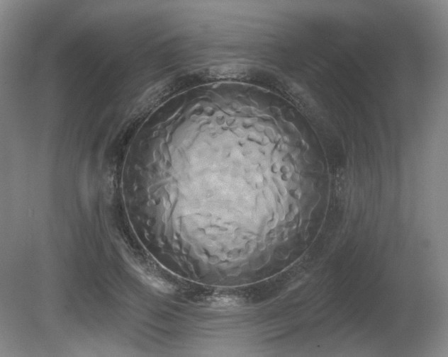 X0000080670741200612151156