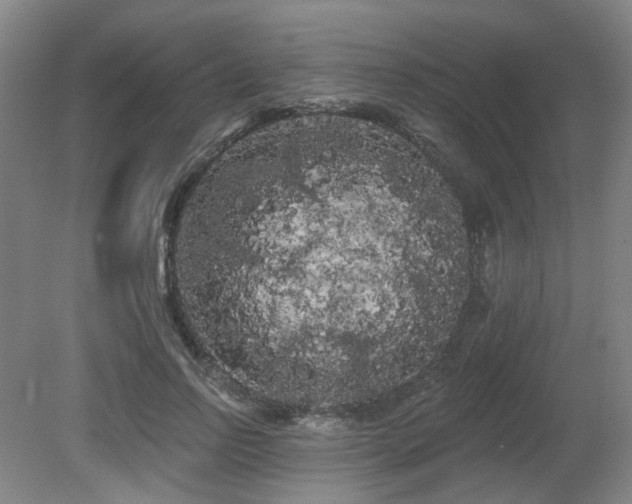 X0000080670742200612151156