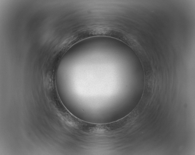 X0000080670743200612151156