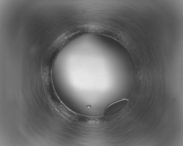 X0000080670744200612151156