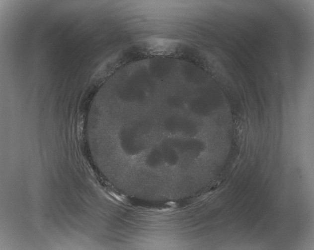 X0000080670745200612151156