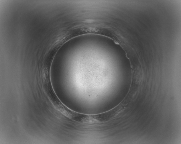 X0000080670747200612151156