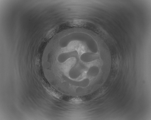 X0000080670749200612151156