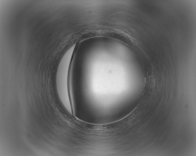 X0000080670750200612151156