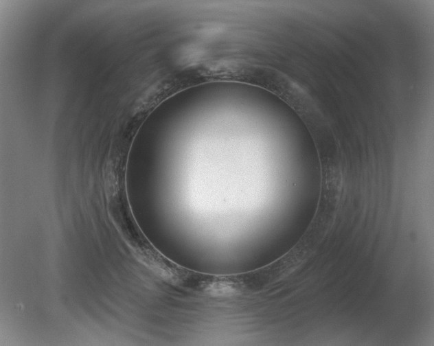 X0000080670751200612151156