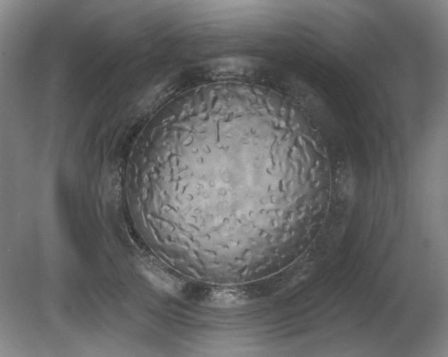 X0000080670753200612151156