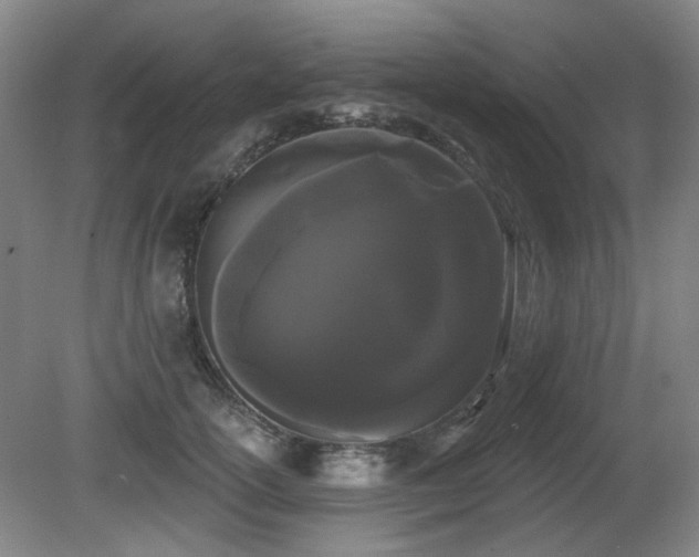 X0000080670754200612151156