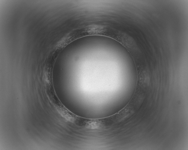 X0000080670755200612151156