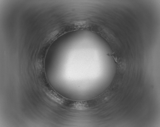 X0000080670756200612151156