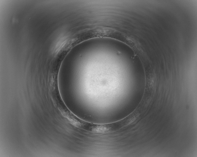 X0000080670759200612151156
