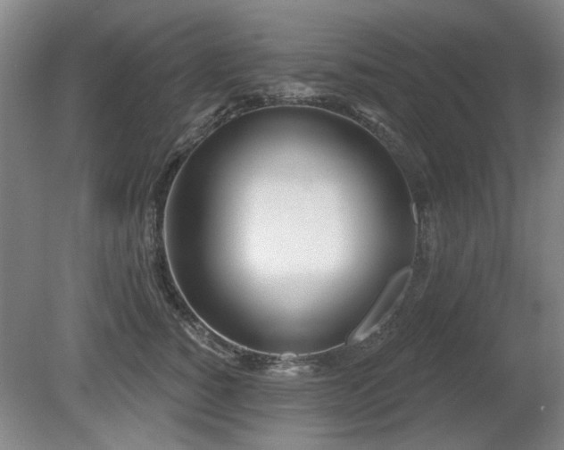 X0000080670760200612151156