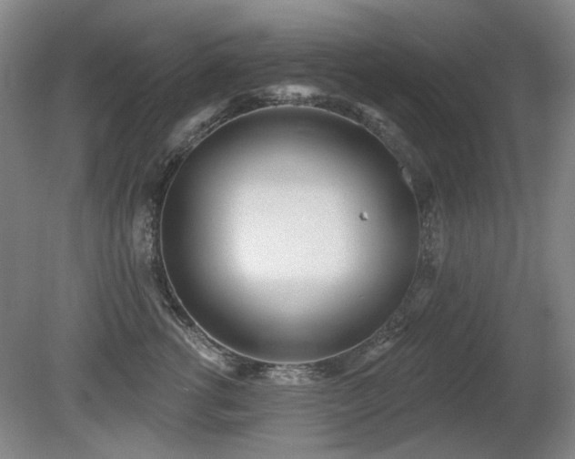 X0000080670762200612151157