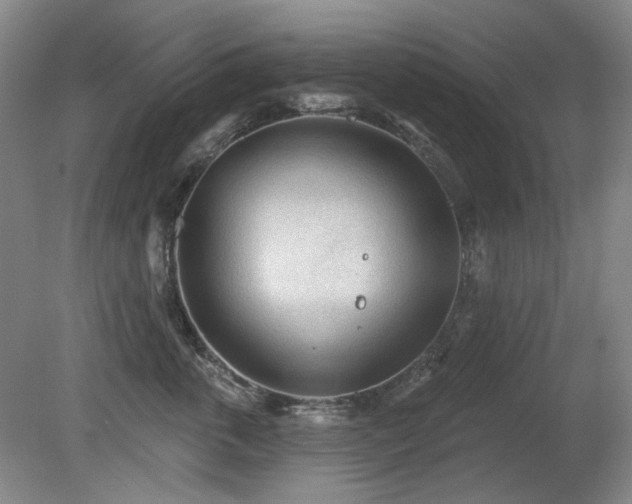 X0000080670763200612151157