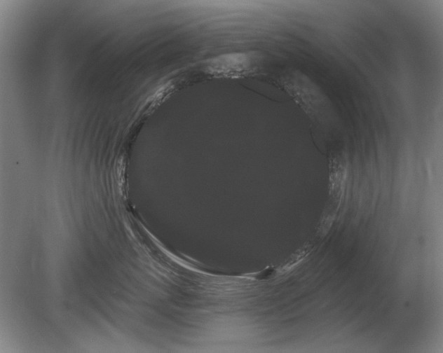 X0000080670767200612151157