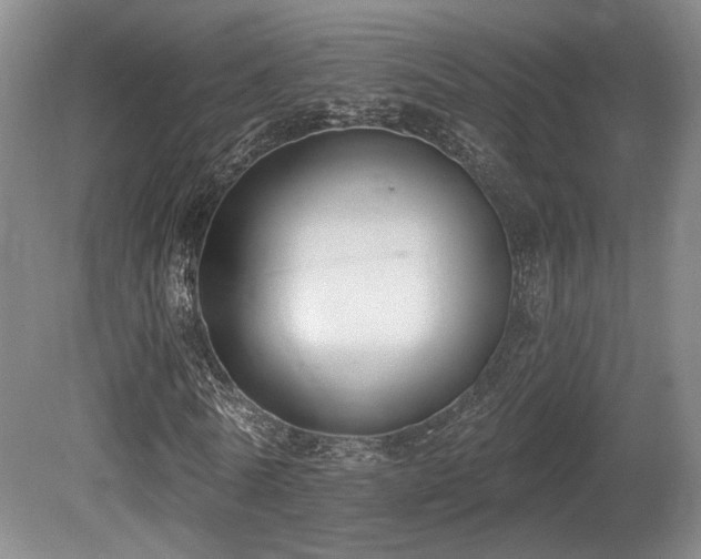 X0000080670770200612151156