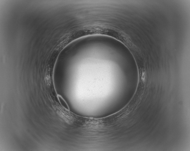 X0000080670771200612151156