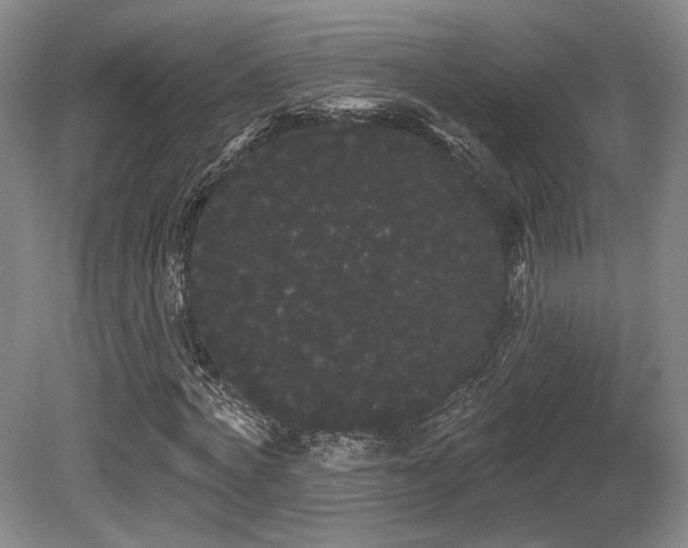 X0000080670772200612151156